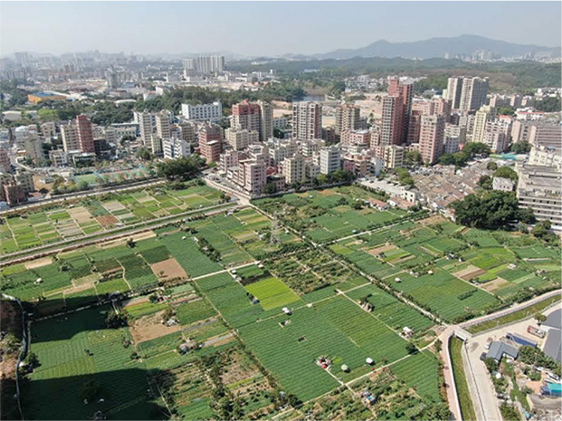 圖層 906-1.jpg